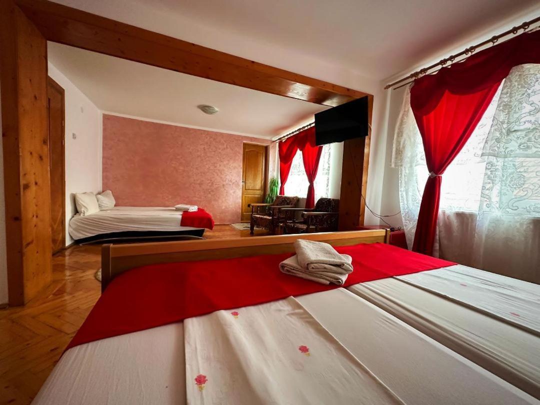 Hotel Casa Mary Haţeg Esterno foto