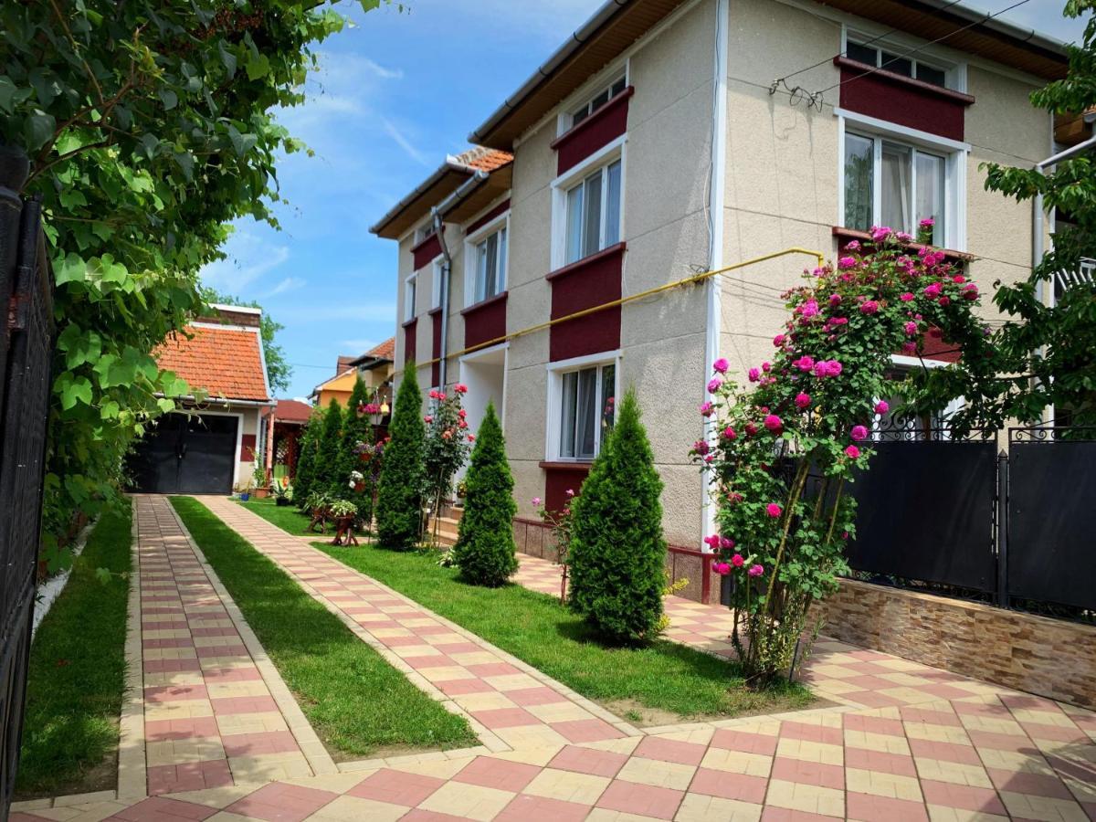 Hotel Casa Mary Haţeg Esterno foto