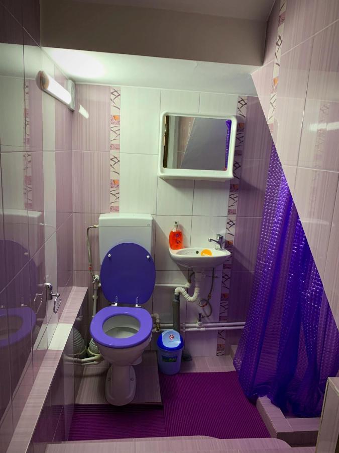 Hotel Casa Mary Haţeg Esterno foto